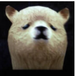 userAvatar